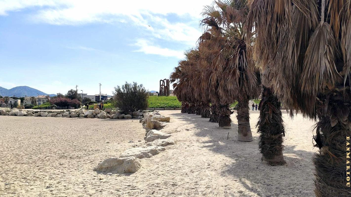 MARSEILLE - Plages Vieille-Chapelle-Prado - 3 avril 2025 - 29.jpg